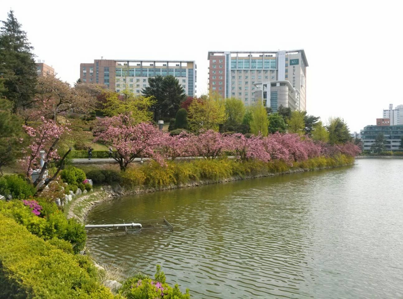 Universität Konkuk